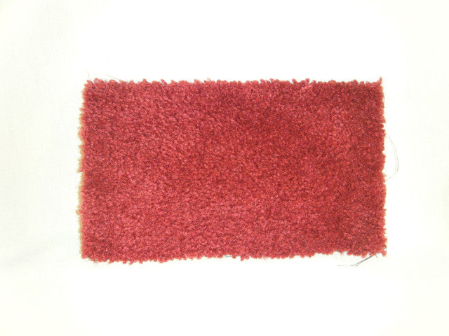 Piece of Red Carpet